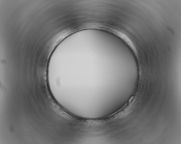 X0000090600954200708071140