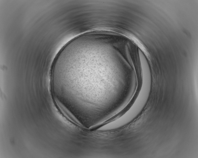 X0000090600955200708071140