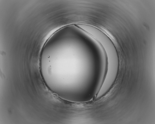 X0000090600956200708071140