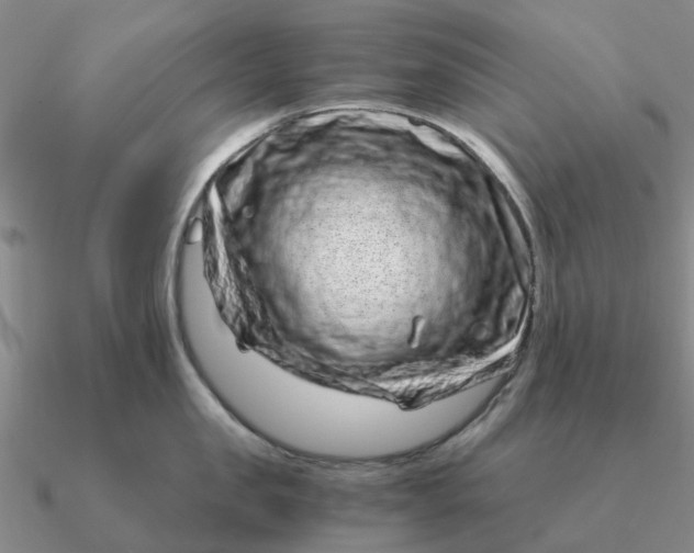 X0000090600957200708071140