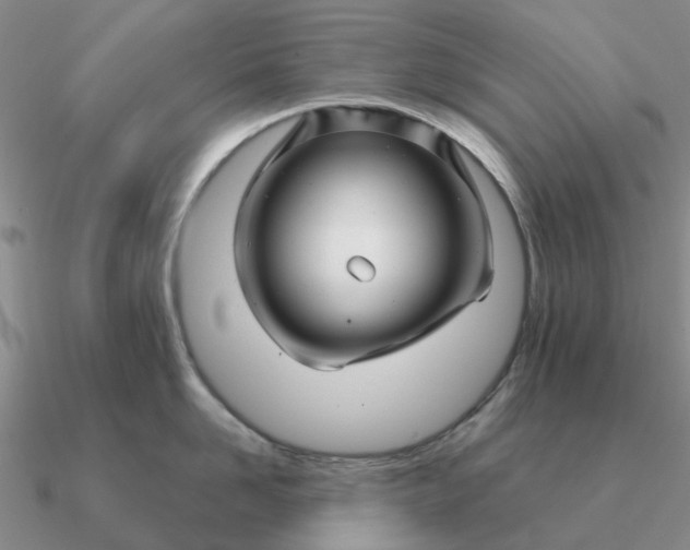 X0000090600958200708071140