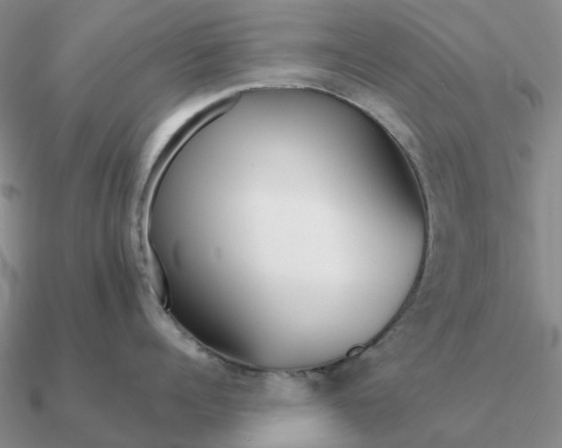 X0000090600960200708071140