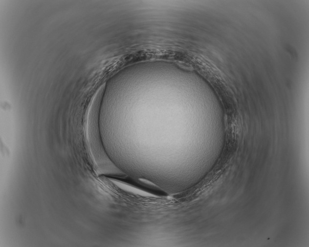 X0000090600961200708071139