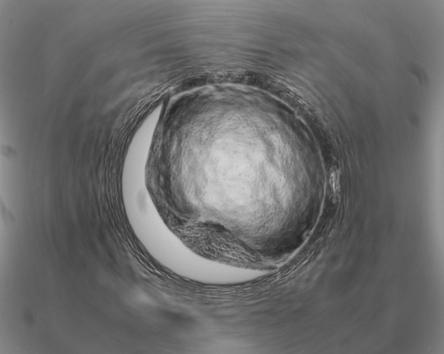 X0000090600963200708071139