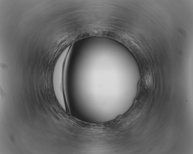 X0000090600964200708071139