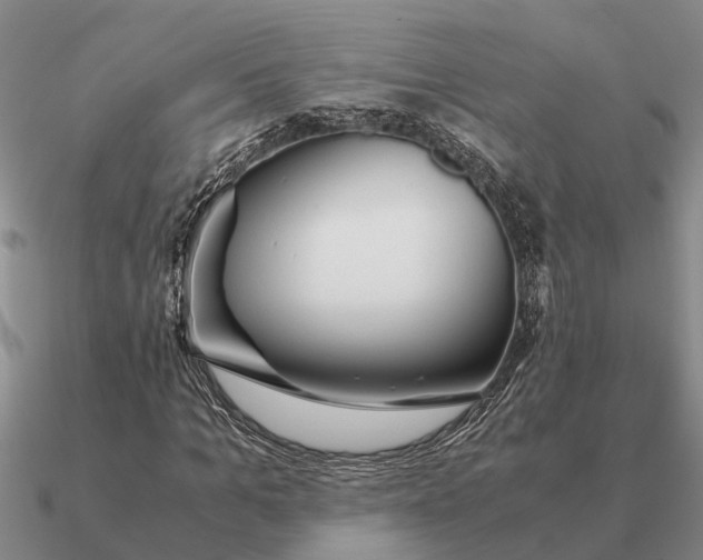 X0000090600965200708071139