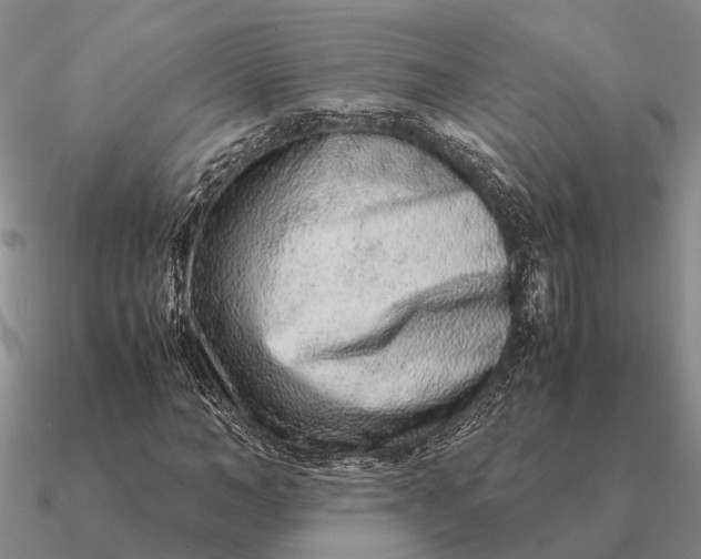 X0000090600966200708071139