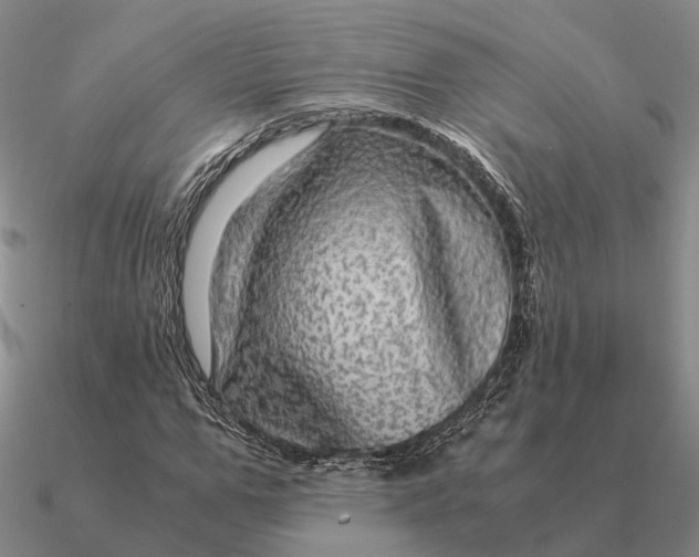 X0000090600967200708071139