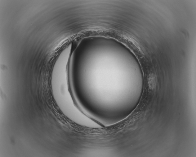 X0000090600968200708071139