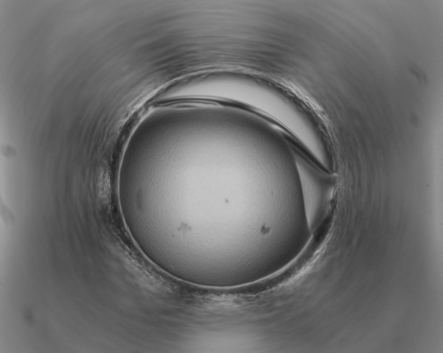 X0000090600969200708071139