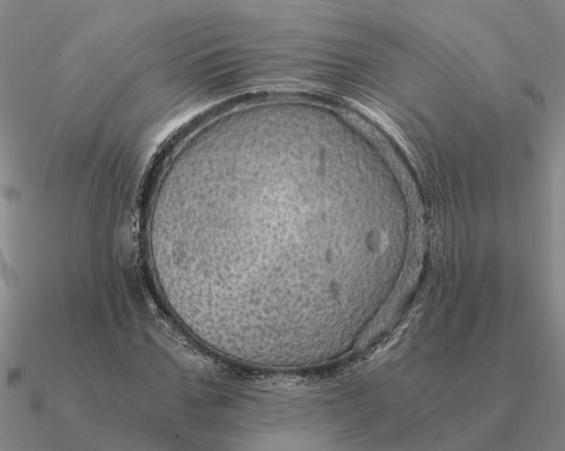 X0000090600971200708071139