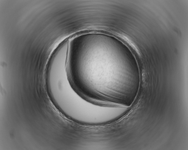 X0000090600972200708071139