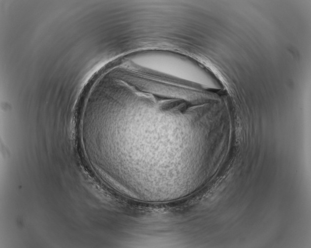 X0000090600975200708071139