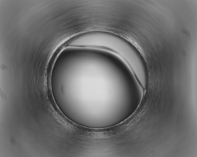 X0000090600976200708071139