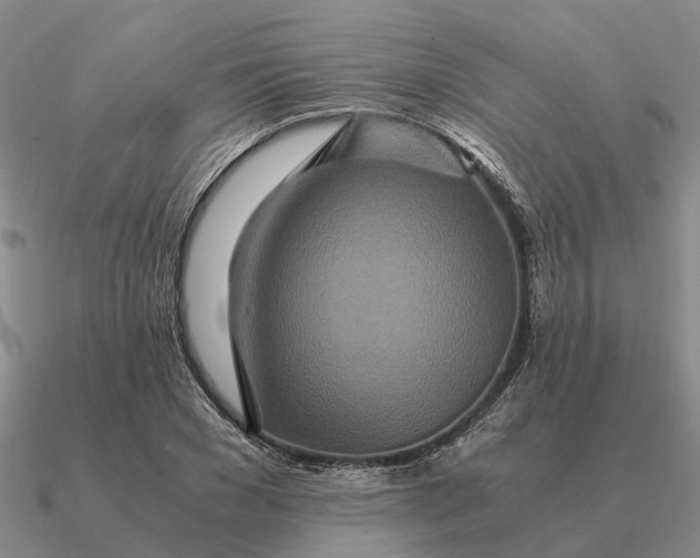 X0000090600977200708071139