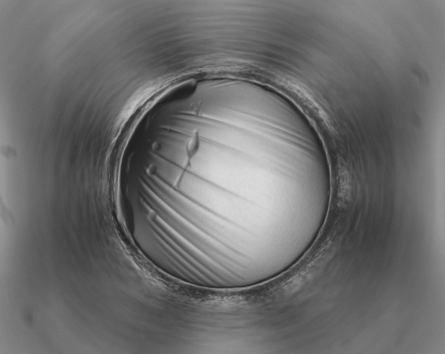 X0000090600978200708071139