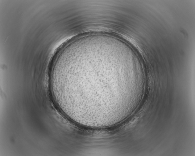 X0000090600979200708071139