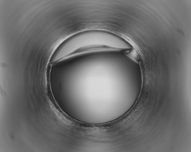 X0000090600980200708071139