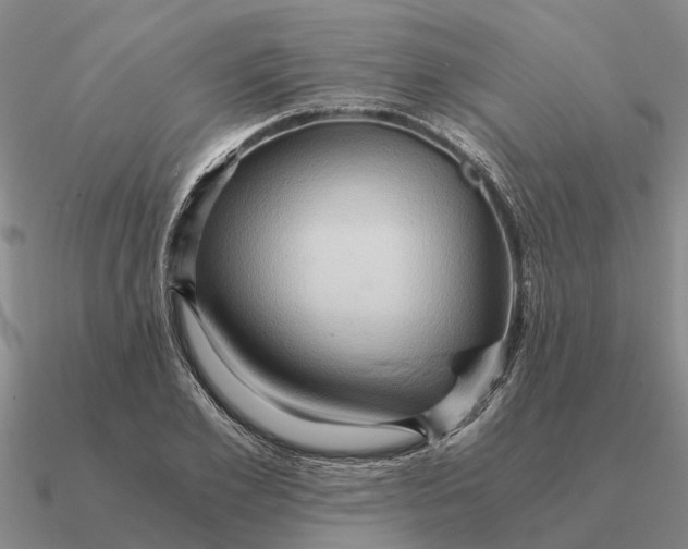 X0000090600981200708071139