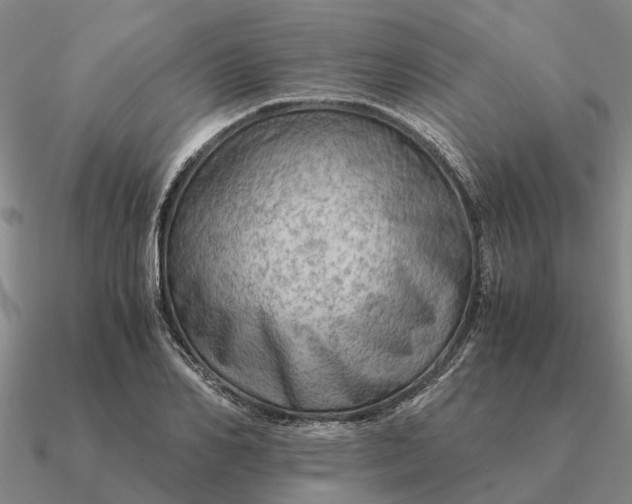 X0000090600982200708071139