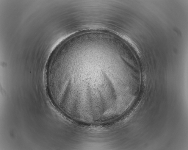 X0000090600983200708071139