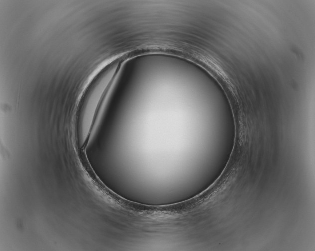 X0000090600984200708071139