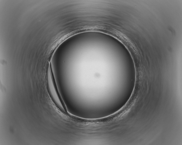 X0000090600985200708071139