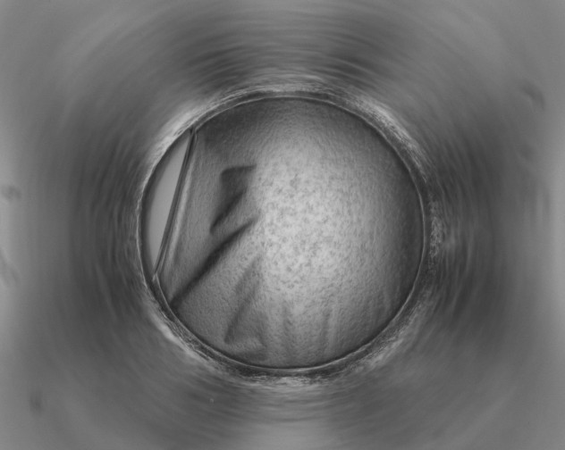 X0000090600986200708071139