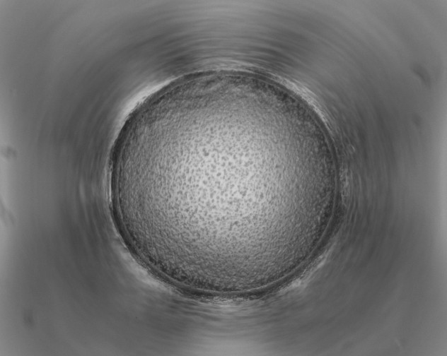 X0000090600987200708071139