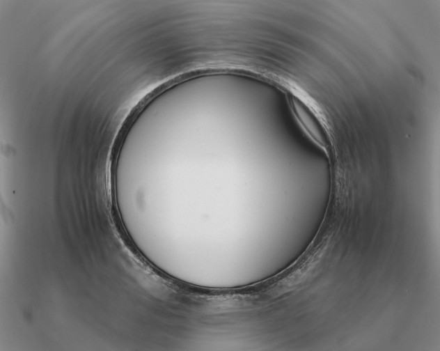 X0000090600988200708071139