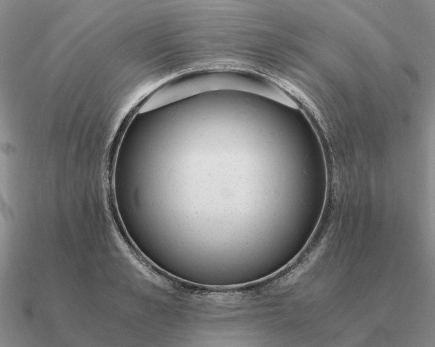 X0000090600989200708071139