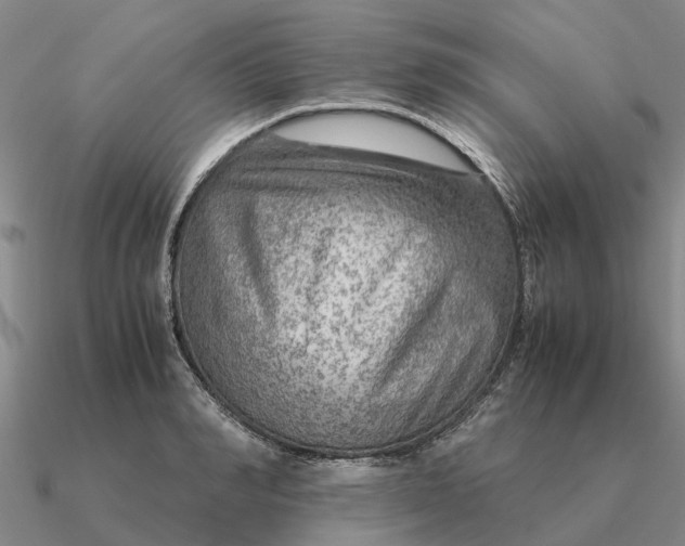 X0000090600990200708071139