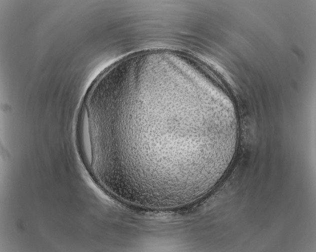 X0000090600991200708071139