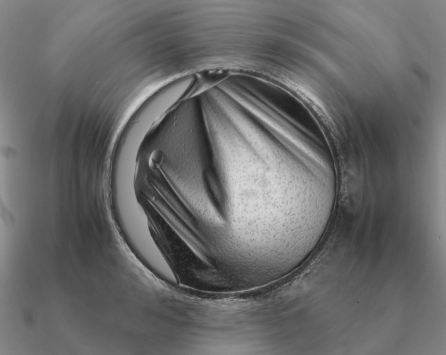 X0000090600992200708071139