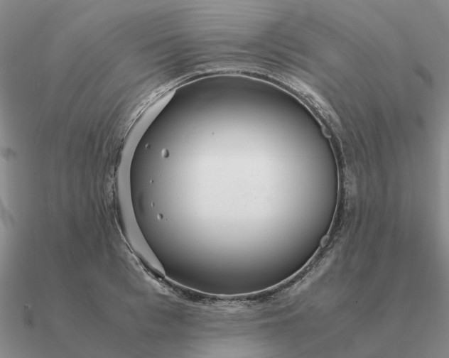 X0000090600993200708071139