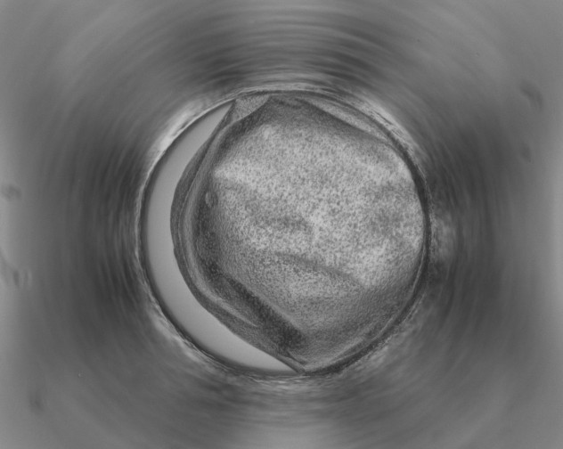 X0000090600994200708071139