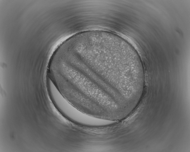 X0000090600995200708071139