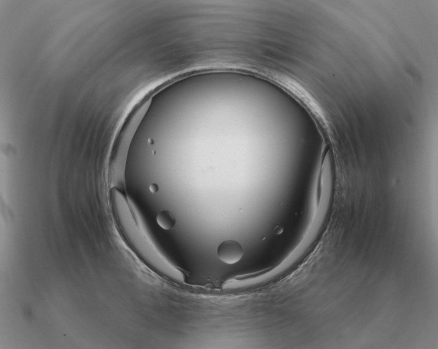 X0000090600996200708071139