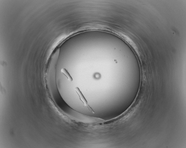 X0000090600997200708071139