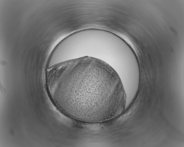 X0000090600999200708071139