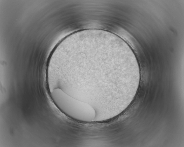 X0000090601000200708071139