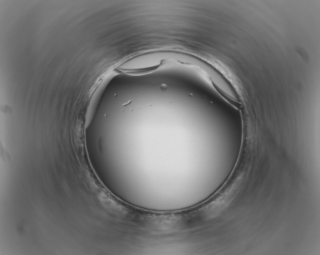 X0000090601001200708071139