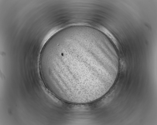 X0000090601002200708071139