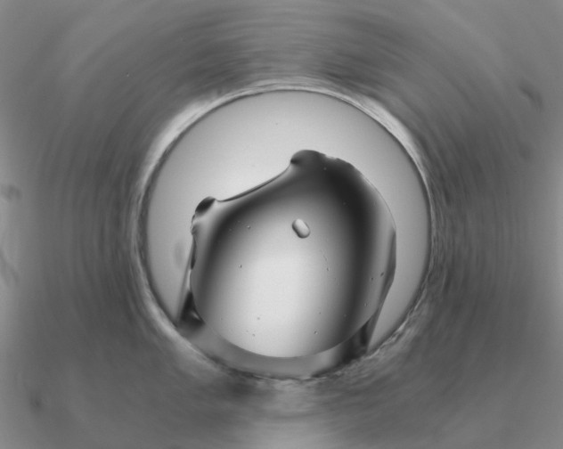 X0000090601005200708071139