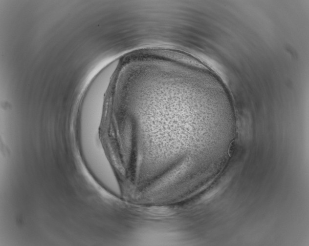 X0000090601007200708071138