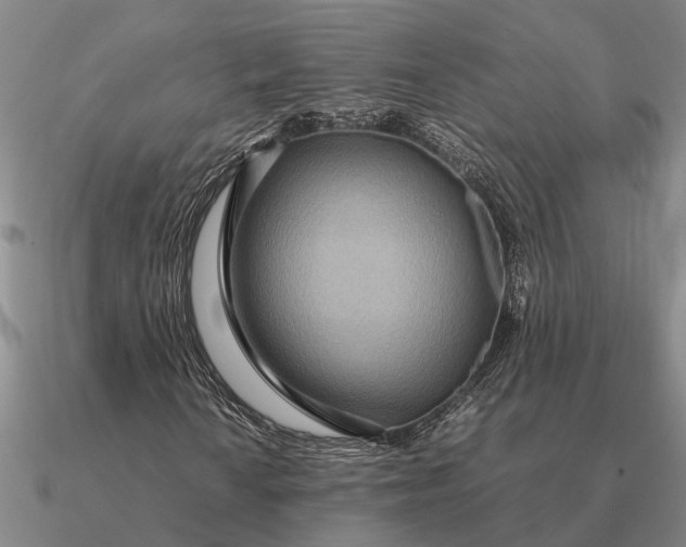 X0000090601010200708071138