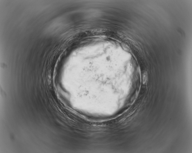 X0000090601011200708071138