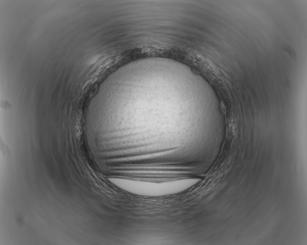 X0000090601012200708071138