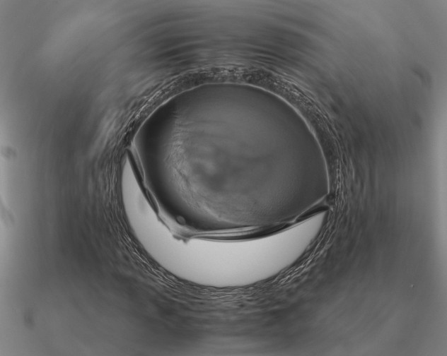 X0000090601013200708071138