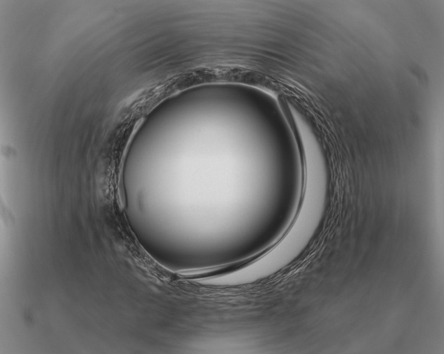 X0000090601014200708071138